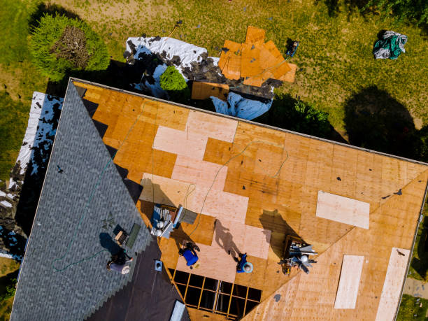 Best Residential Roof Replacement  in Maquoketa, IA