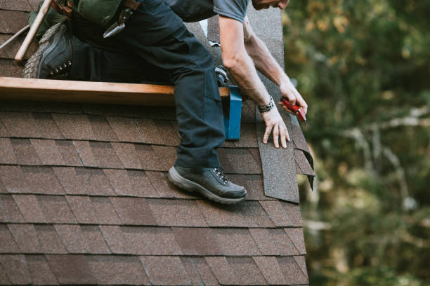Best Roof Gutter Cleaning  in Maquoketa, IA